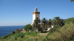 IMG_4531.JPG